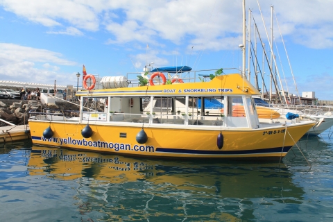 From Puerto de Mogan: Boat and Snorkeling Trip Puerto de Mogan: Boat & Snorkeling Trip