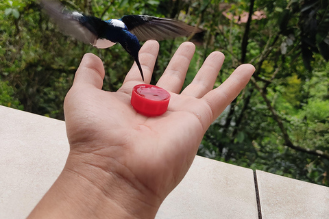 Quito: 2-Day Mindo Cloud Forest Adventure