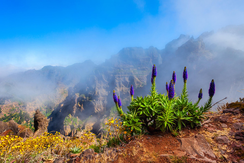 PR1 Guided Tour Pico Areeiro - Pico Ruivo W/Ticket included Caniço Pick Up Point