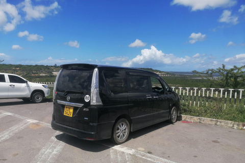 Depuis l'aéroport de Mombasa : Transfert à Diani en minibus (5 pax)