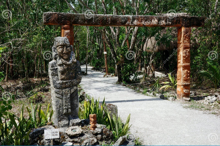 Punta Cana: Ecological Reserve 4x4 Tour with Tastings