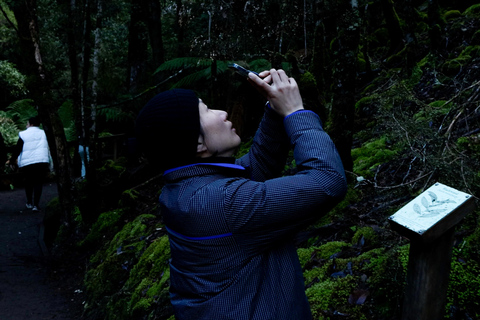 Excursion à Hobart : Parc national et faune du Mont Field