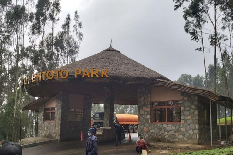 Addis Ababa: Entoto Park & Kuriftu Resort Tour with Guide