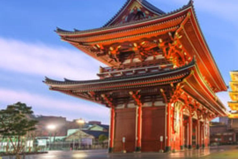 Tokyo: Full-Day Private Tour with English-Speaking driver