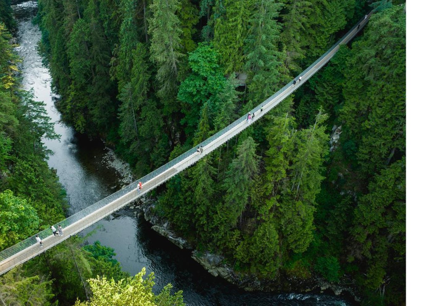 Vancouver: Capilano Suspension Bridge Park billet