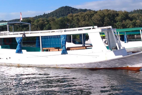 Labuan Bajo : Tour de um dia na Ilha de Komodo com guia localPasseio partilhado de barco lento em Labuan Bajo