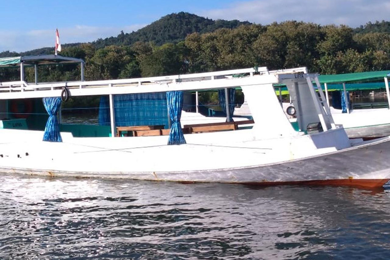 Labuan Bajo : Tour de um dia na Ilha de Komodo com guia localPasseio partilhado de barco lento em Labuan Bajo