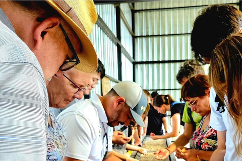 Boquete: Geisha Coffee Plantation Tour with Tasting