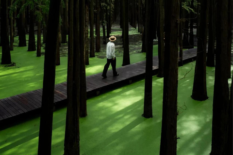 Hangzhou Qingshan Lake Water‑Forest Private Day Tour Ticket + Deer‑Feeding | Separate Driver & Guide