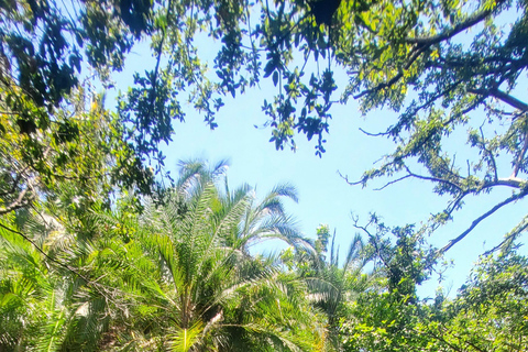 Wonderful Materuni waterfalls and Chemka hotspring Day trip