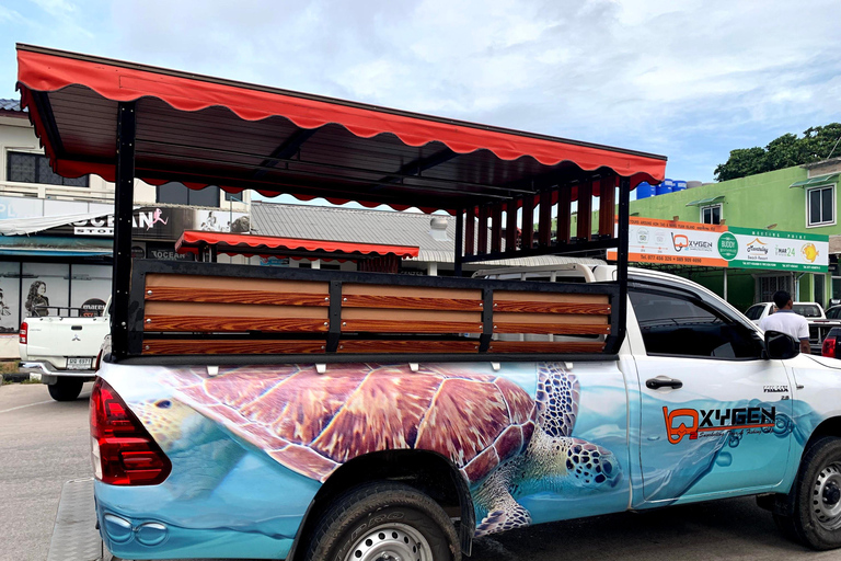 Koh Tao: Premium Snorkel Tour to Koh Nangyuan Bays by Oxygen