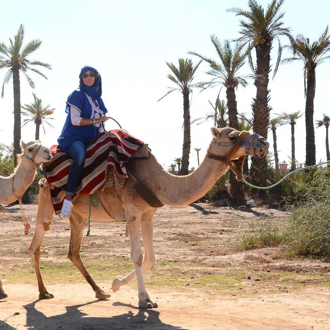 Agadir : promenade à dos de chameau, rivière Flamingo et dîner barbecue
