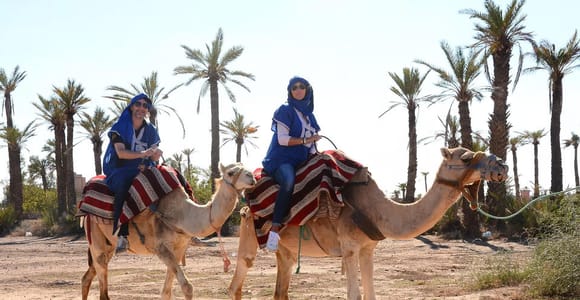 Agadir Camel Ride Flamingo River & BBQ Dinner