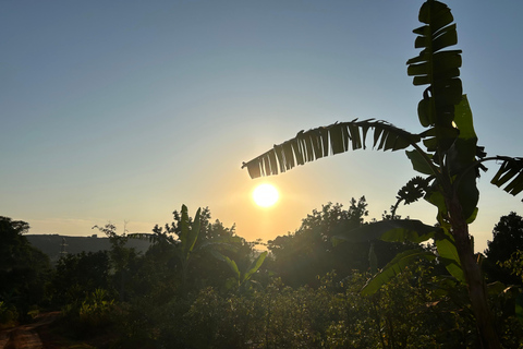 恩德培：与当地人一起学习陶艺，欣赏日落茶园美景探索坎帕拉当地陶艺贫民窟社区