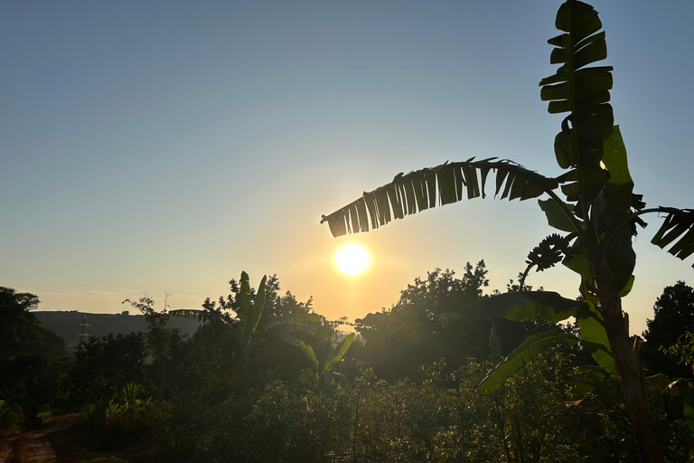 恩德培：与当地人一起学习陶艺，欣赏日落茶园美景探索坎帕拉当地陶艺贫民窟社区