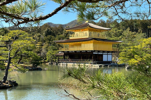 Tour privato personalizzato di Kyoto con autista parlante inglese