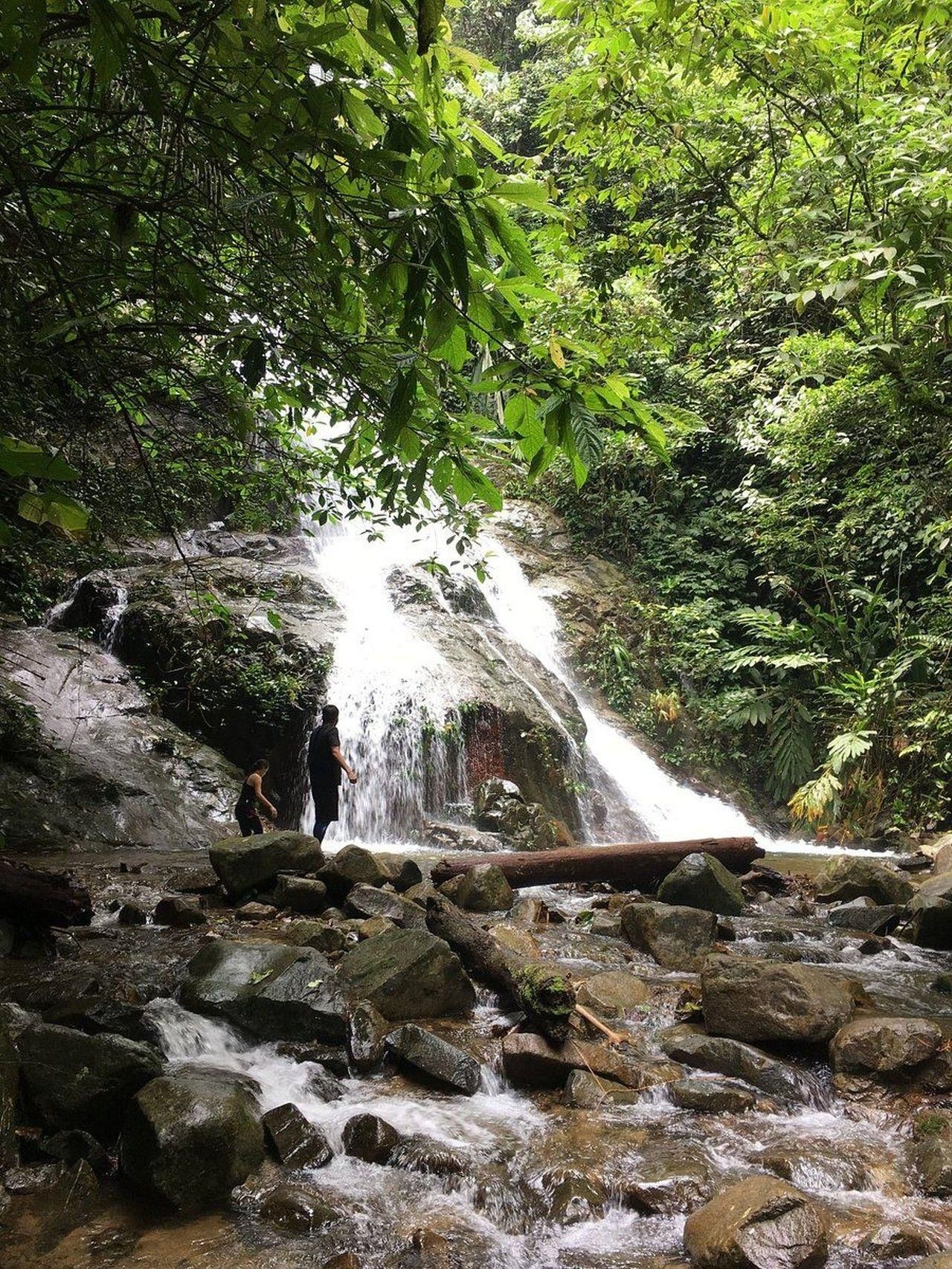 Selangor: Geführte Wanderung zum Gunung Nuang mit Erlaubnis