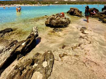 Tour privato di un'intera giornata per famiglie alla spiaggia di Elafonisi e ad Agia Sofia
