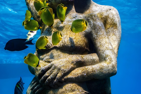 Lombok : Viagem de snorkeling (Gili Trawangan, Meno e Gili Air)