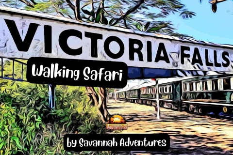 Victoria Watervallen: Historische stadstour + boswandelingVictoria Watervallen: Stads- en bushwandeling open einde Look Out Cafe