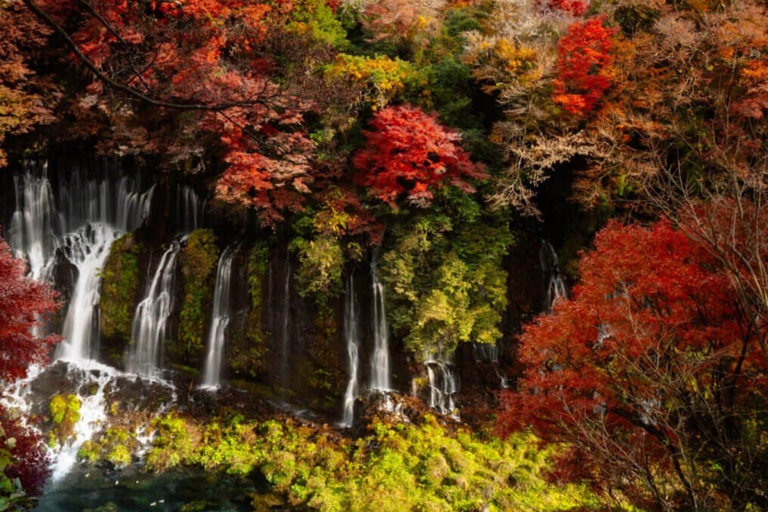 Private Tour From Tokyo To Mount Fuji with Custom Itinerary Mount Fuji Full-Day Private Tour Customizable individual