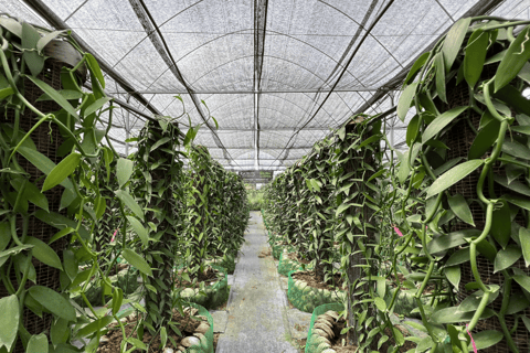 بينانج: جولة مزرعة قرية الفانيليا بواسطة كايروس