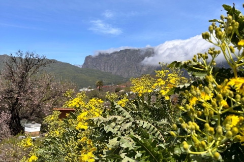 La Palma : Besichtigung eines ökologischen Bauernhofs mit Tieren und Verkostung