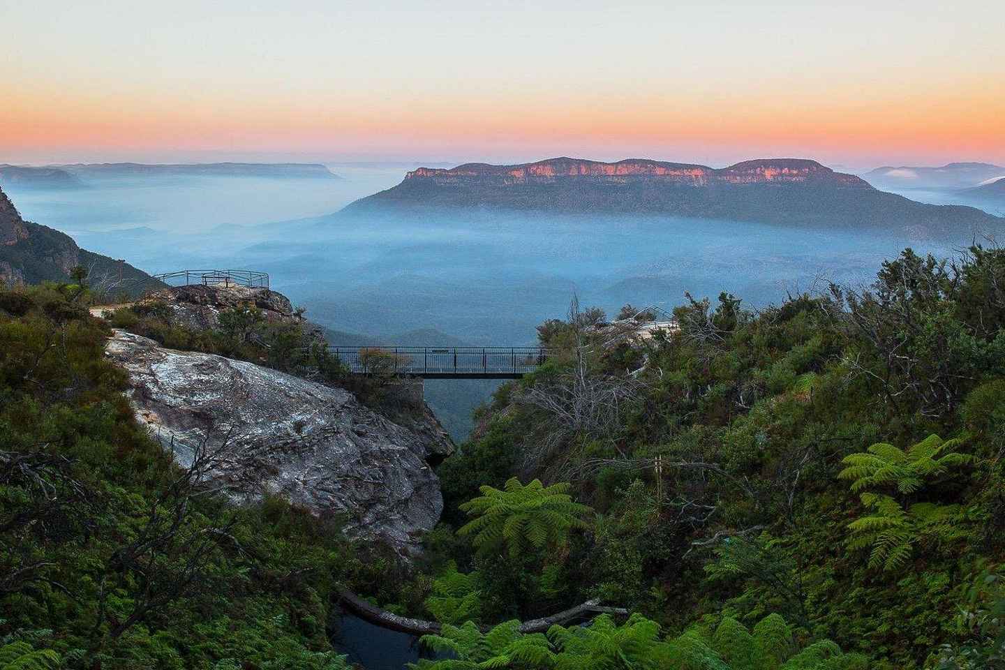 Private Blue Mountains Full Day Tour - Off the Beaten Track - Visit Featherdale Wildlife Park