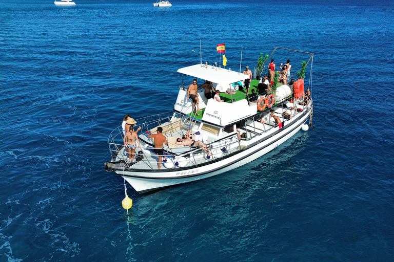 Costa Calma: Fuerteventura Dolphin Watching Boat Tour
