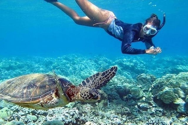 Isla Círculo: Nada con las tortugas y explora el paraíso de Oahu