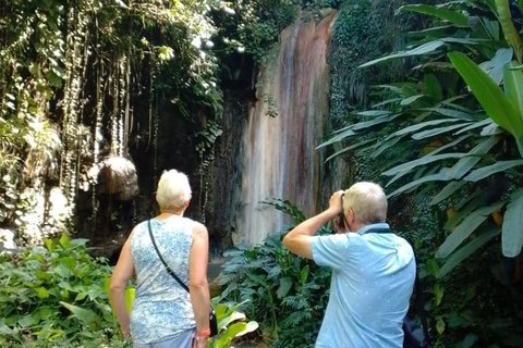 Saint Lucia: Private Tet Paul Nature Trail & Waterfall Tour