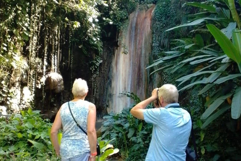 Saint Lucia: Private Tet Paul Nature Trail & Waterfall Tour