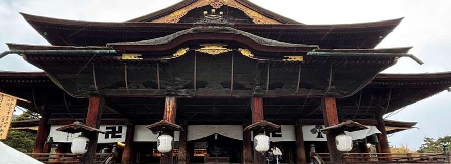 Tokyo : visite d'une journée au parc des singes des neiges et au temple Zenko-ji