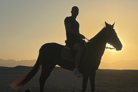 Soma Bay: Reittour mit HoteltransferSoma Bay: Reittour ohne Hoteltransfer