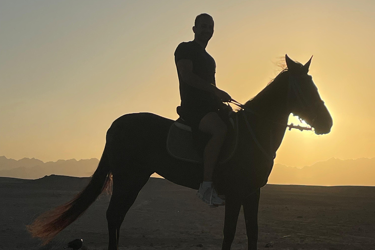 Soma Bay: Reittour mit HoteltransferSoma Bay: Reittour ohne Hoteltransfer