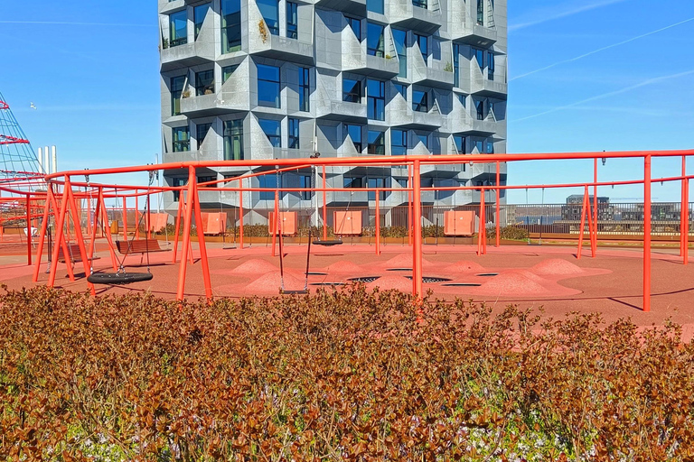 Copenhagen Architecture: 3-Hour Expert-Led Bike Tour Private Tour - EN/FR/ES/IT - 3 hours