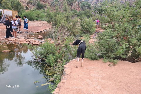 Agadir: Paradise Valley & Atlas Mountains Day Trip