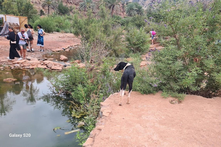 Agadir: Paradise Valley & Atlas Mountains Day Trip