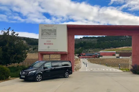 Trasporto privato alle cantine dal servizio di prelievo in hotel di Madrid