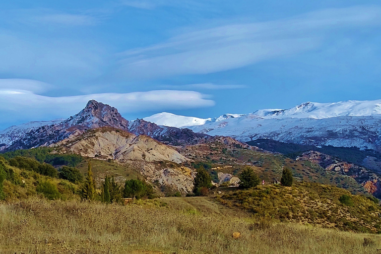 ⭐ Excursión al atardecer y cumbre de Sierra Nevada con cachorro ⭐⭐ Excursión al atardecer y cumbre de Sierra Nevada Excursión privada con cachorro ⭐