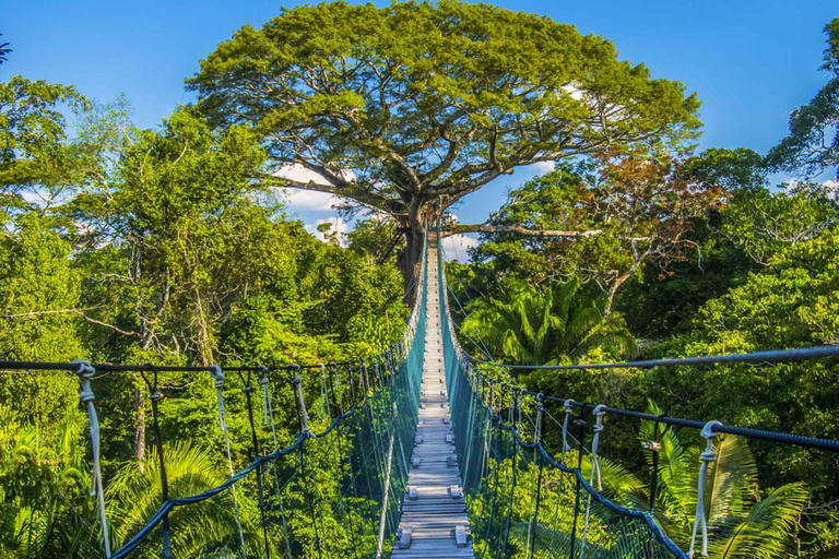 Excursión de varios días a la selva peruana