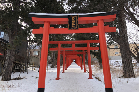 Sapporo Solo Traveler´s Tour: Explore With a Local Friend