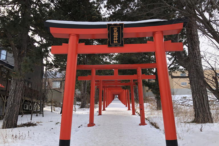 Sapporo Solo Traveler´s Tour: Explore With a Local Friend