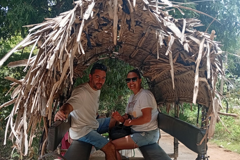 Kandy: Sigiriya Rock Fortress & Dambulla Cave Temple Tour