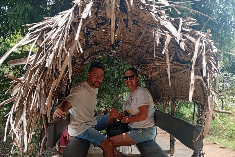 Kandy: Sigiriya Rock Fortress & Dambulla Cave Temple Tour