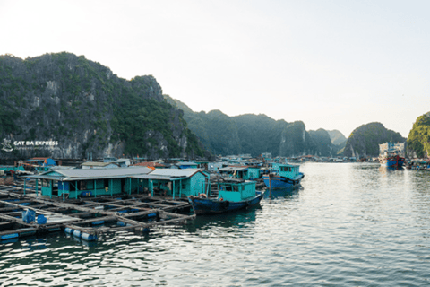 AU DÉPART DE HANOI : EXCURSION UNIQUE D'UNE JOURNÉE SUR L'ÎLE DE CAT BA - BAIE DE LAN HAEXCURSION UNIQUE D'UNE JOURNÉE HA NOI - ILE DE CAT BA - BAIE DE LAN HA