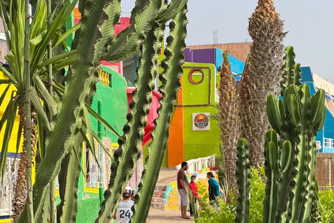 Agadir: Taghazout, Aghroud Village & Timlalin Desert Tour