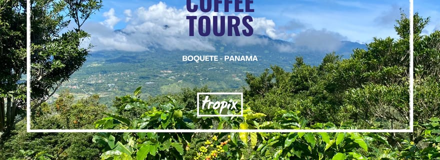 Boquete, Panama : visite privée sur le thème du café