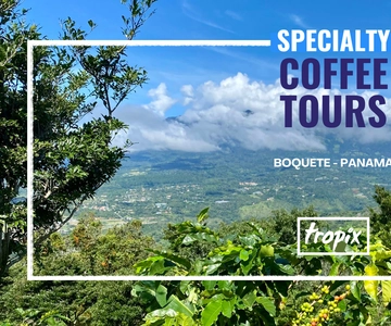 Boquete, Panamá: visita interactiva a cafés especiais