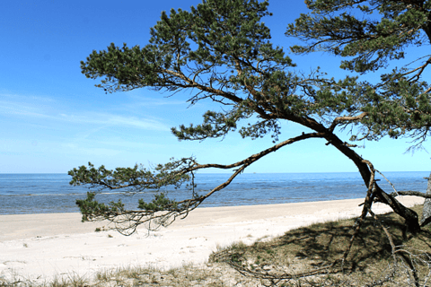 From Riga: Budget Day Trip to Kolka in Zen style!